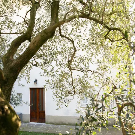 Iseolakerental - Casa La Rondine *