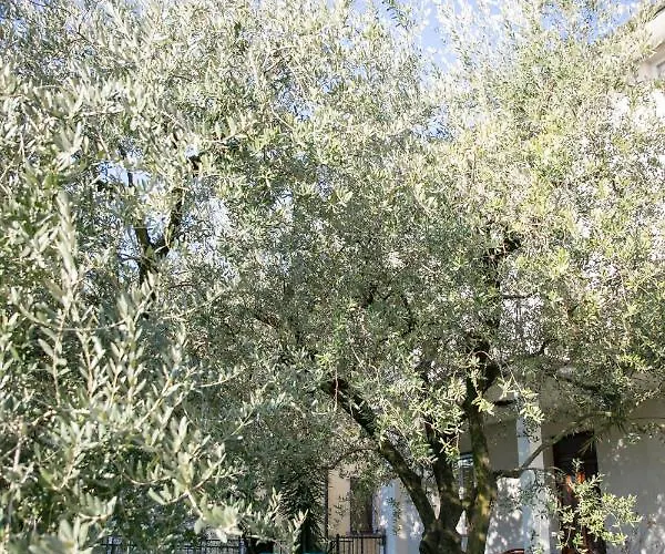 Lejlighed Iseolakerental - Casa La Rondine *